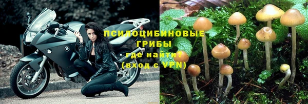 крисы Вязьма