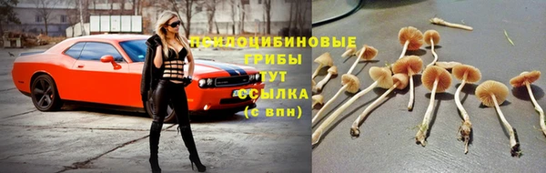 а пвп мука Волоколамск