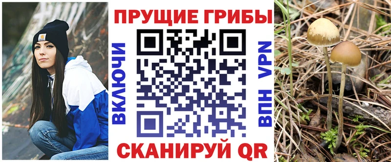 Псилоцибиновые грибы GOLDEN TEACHER  Купить  Миньяр 